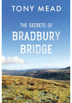 The Secrets of Bradbury Bridge