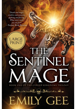 The Sentinel Mage