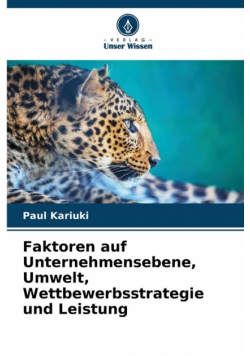 Faktoren auf Unternehmensebene, Umwelt, Wettbewerbsstrategie und Leistung