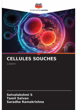 Cellules Souches