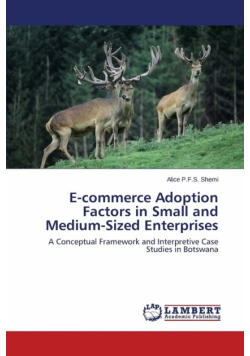 E-Commerce Adoption Factors in Small and Medium-Sized Enterprises