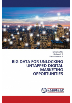 Big Data For Unlocking Untapped Digital Marketing Opportunities