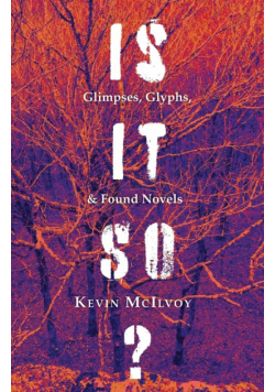 Is It So? Glimpses, Glyphs, & Found Novels