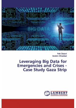Leveraging Big Data for Emergencies and Crises - Case Study Gaza Strip