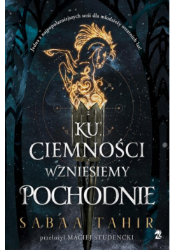 Ku ciemności wznieśmy pochodnie