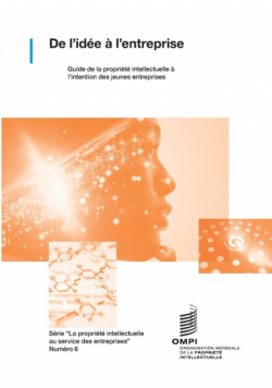 De l'idée à l'entreprise