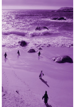 Alive! little penguin friends - Violet duotone - Photo Art Notebooks (6 x 9 series)
