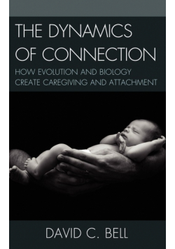 The Dynamics of Connection