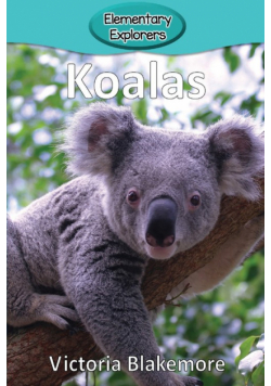 Koalas
