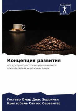 Концепция развития