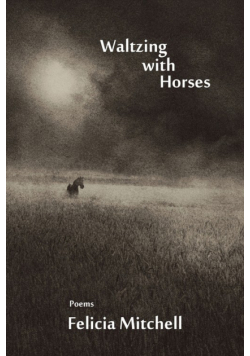 Waltzing with Horses