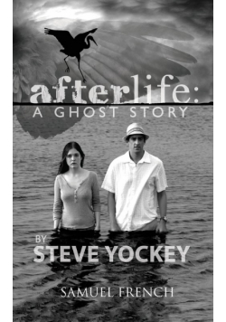 Afterlife