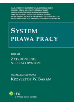 System prawa pracy Tom 7