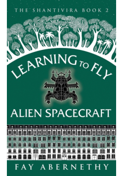 Learning to Fly Alien Spacecraft