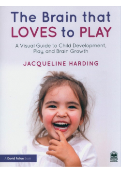The Brain that Loves to Play