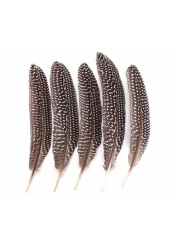 Pióra bażanta 18-20cm 5szt