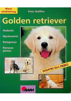 Golden retriver