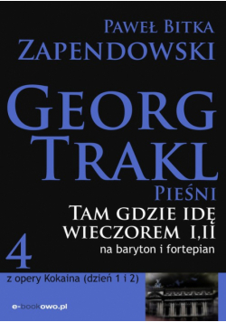 Tam gdzie idę wieczorem