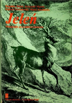 Jeleń