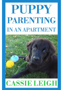 Puppy Parenting in an Apartment