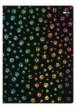 Teczka z gumką A4 Miaow czarna HAPPY COLOR