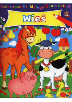 Wieś Kolorowanki Małego Czarodzieja