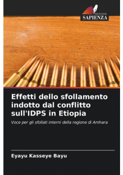 Effetti dello sfollamento indotto dal conflitto sull'IDPS in Etiopia