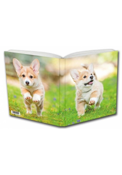 Notes Szczeniak Corgi