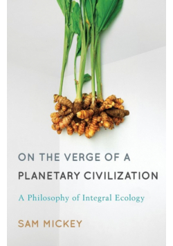 On the Verge of a Planetary Civilization