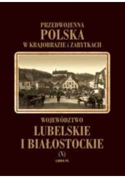 Przedwojenna Polska w krajobrazie i zabytkach Tom X