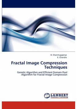 Fractal Image Compression Techniques