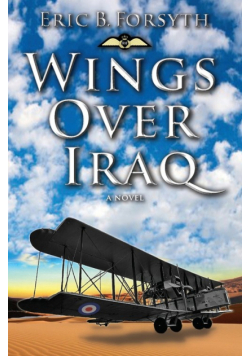 Wings Over Iraq
