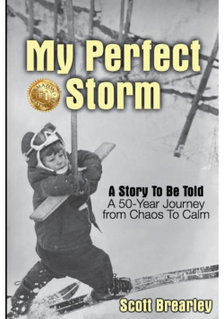 My Perfect Storm