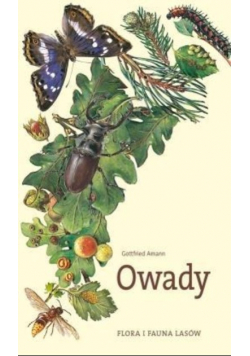 Flora i fauna lasów Owady