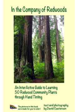 In the Company of Redwoods