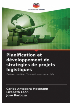 Planification et développement de stratégies de projets logistiques