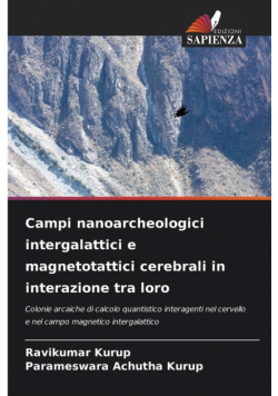 Campi nanoarcheologici intergalattici e magnetotattici cerebrali in interazione tra loro