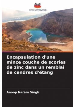 Encapsulation d'une mince couche de scories de zinc dans un remblai de cendres d'étang
