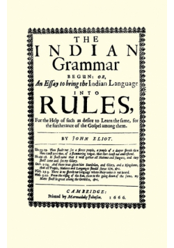 The Indian Grammar Begun