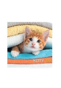 Kalendarz 2019 13 pl. 30x30 szyty Koty DAN-MARK