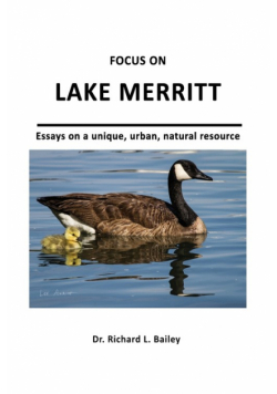 Focus On Lake Merritt
