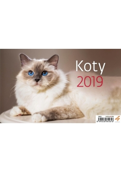 Kalendarz 2019 Biurkowy Koty HELMA
