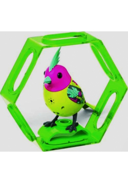 BigiBirds 3 z ramką Neon