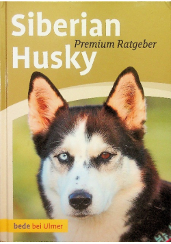 Siberian Husky