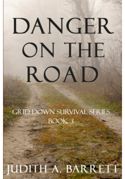 Danger on the Road