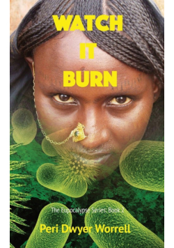 Watch it Burn