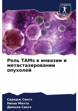 Роль TAMs в инвазии и метастазировании опухолей