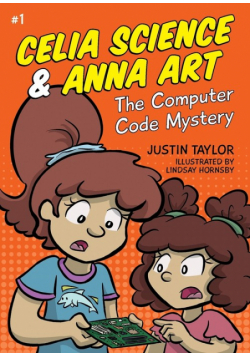 The Computer Code Mystery