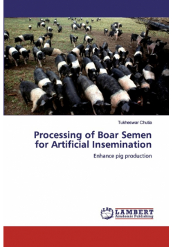 Processing of Boar Semen for Artificial Insemination