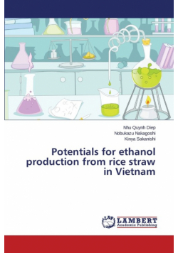 Potentials for ethanol production from rice straw in Vietnam